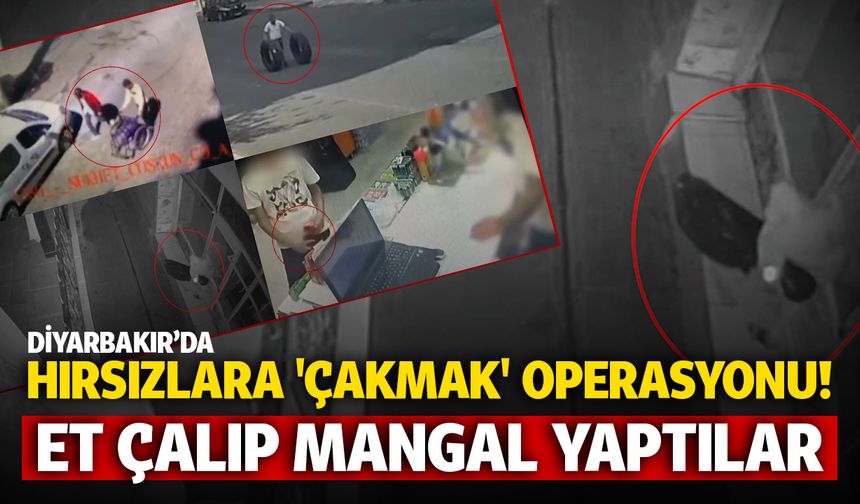 Diyarbakır'da hırsızlara 'Çakmak' operasyonu! Eti çalıp mangal yaptılar