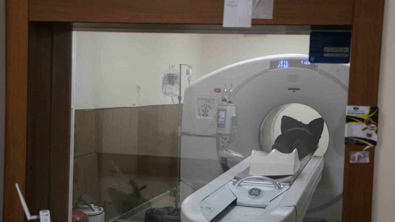 Diyarbakır Gazi Yaşargil Hastanesinde Yeni Tedavi Yöntemi: Kolin Pe