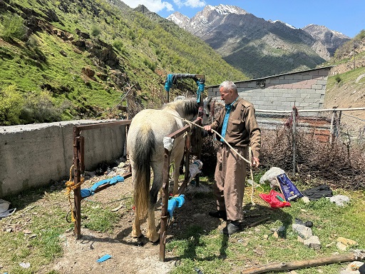 20 yıldır nalbantlık yapan usta