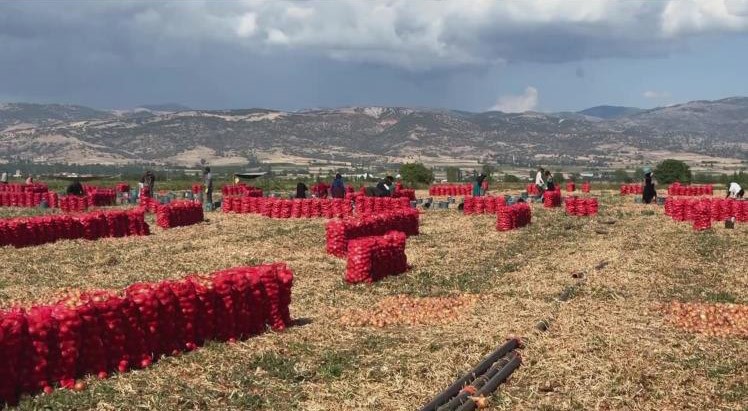 İki Çocuk Hortumun Arasında Kaldı, Dehşeti Yaşadı! (2)