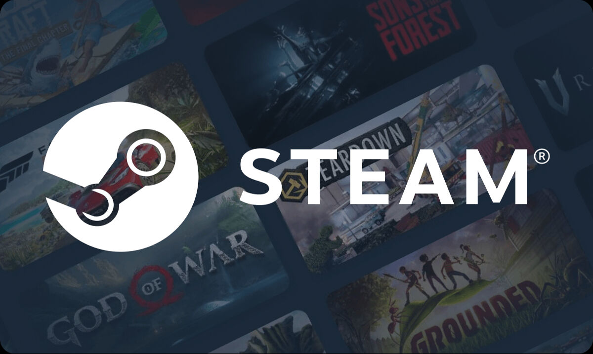 Steam 'Bağlantı Yok' Hatası! Steam Çöktü Mü (3)