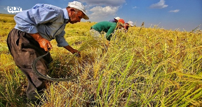 Diyarbakır'da okul çevresinde güvenlik denetimi