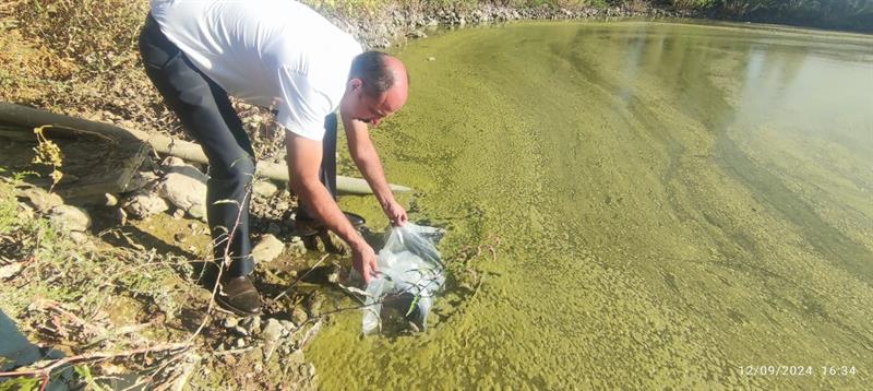 Diyarbakır’da 30 Su Kaynağına 2 Milyon Yavru Sazan Bırakıldı (1)