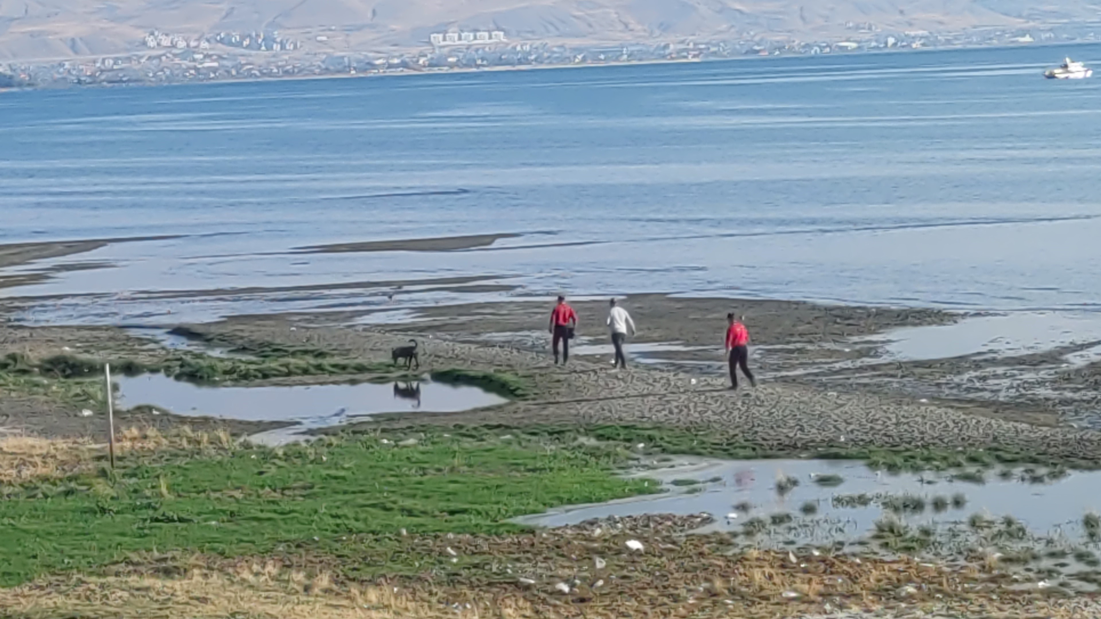 17 Gündür Kayıp Rojin Kabaiş'in Eşarbı Şüpheleri Artırdı! 3