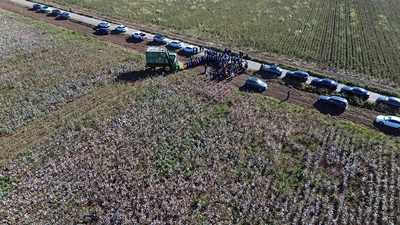 Diyarbakır'da Beyaz Altın Hasadına Start! Hasat Ne Durumda Dron (4)