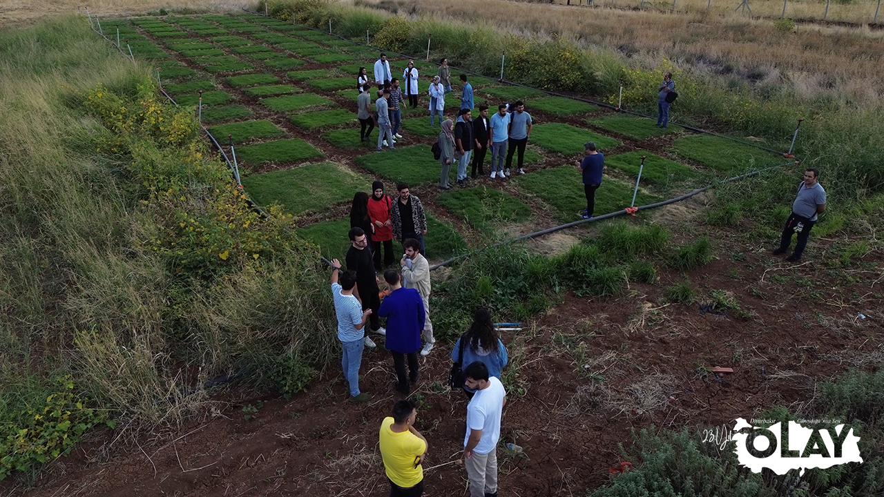 Diyarbakır'da Tek Fakültede 5 Pilot Proje Hayata Geçti1 (2)